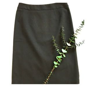 Anne Taylor Loft Pencil Lined Skirt. Size 2P.